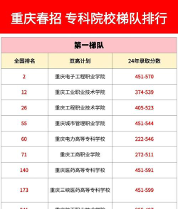2025年高考重庆历史类458分左右能考上哪些学校