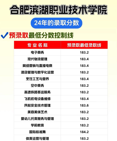 2024年民办合肥滨湖职业技术学院在河北全部专业录取位次、分数线