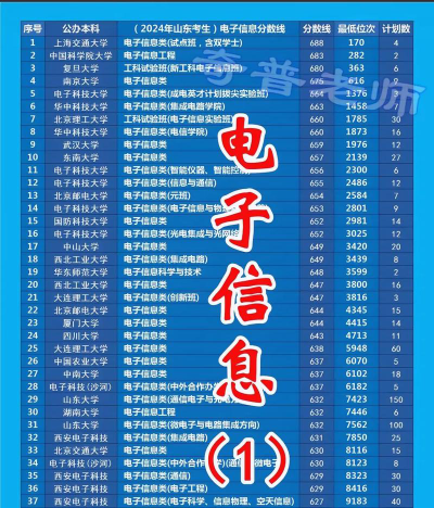 2024年江苏电子信息职业学院在山东全部专业录取位次、分数线