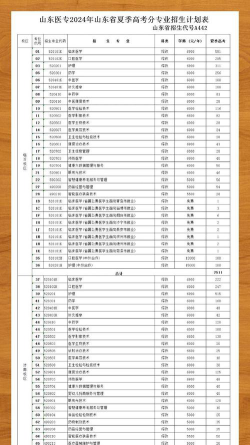 山东医学高等专科学校2024年在贵州各专业录取分数线