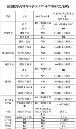 多少分能被益阳医学高等专科学校录取
