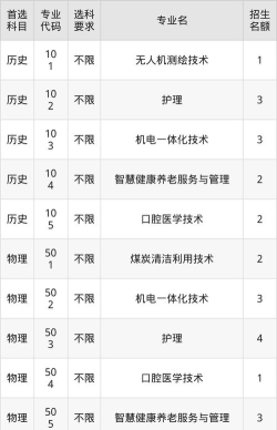 2024年陕西能源职业技术学院在贵州全部专业录取位次、分数线