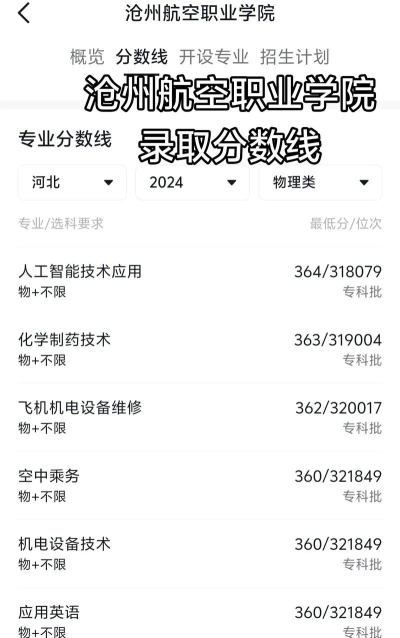 沧州航空职业学院2024年全国各省录取分数线与位次排名汇总！含省内及省外