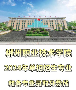 郴州职业技术学院2024年全国各省录取分数线与位次排名汇总！含省内及省外