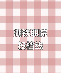 湖南高速铁路职业技术学院2024年在江苏录取分数线、对应位次