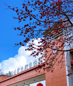 广州南洋理工职业学院是民办大学还是公办大学