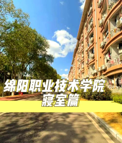 绵阳职业技术学院是民办大学还是公办大学