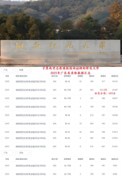 2025年577分能够报什么大学