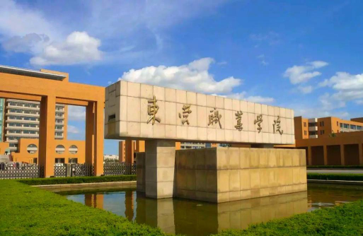 东营职业学院是双一流大学吗