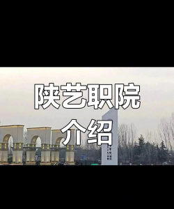 陕西艺术职业学院是民办大学还是公办大学