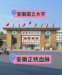 安徽师范大学皖江学院是民办大学还是公办大学