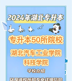 湖北汽车工业学院科技学院是民办大学还是公办大学