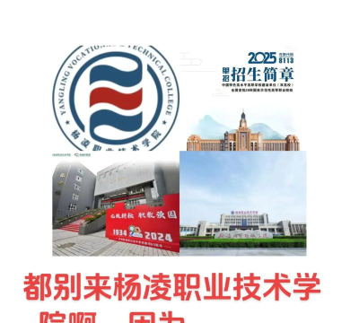 杨凌职业技术学院是民办大学还是公办大学