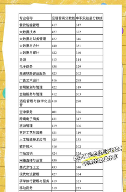 长沙商贸旅游职业技术学院2024年各批次录取分数线概览：最低316分可录取