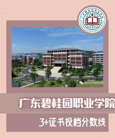 广东碧桂园职业学院2024年各批次录取分数线概览：最低150分可录取