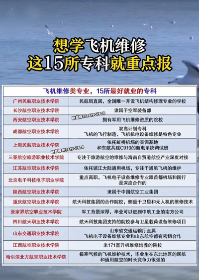 飞机部件修理专业是本科还是专科