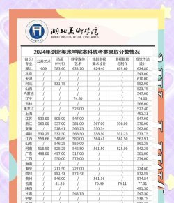 湖北孝感美珈职业学院2024各省录取分数线汇总：最低142分可录取