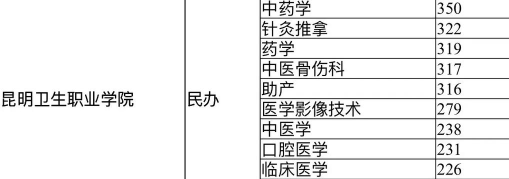 昆明卫生职业学院2024年各批次录取分数线概览：最低180分可录取