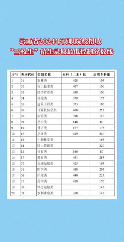 云南现代职业技术学院2024年各批次录取分数线概览：最低321分可录取