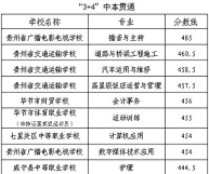 毕节职业技术学院2024年各批次录取分数线概览：最低203分可录取
