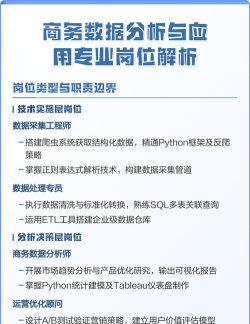 商务数据分析与应用专业是本科还是专科