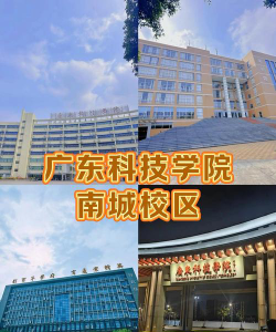 广东科技学院是985吗