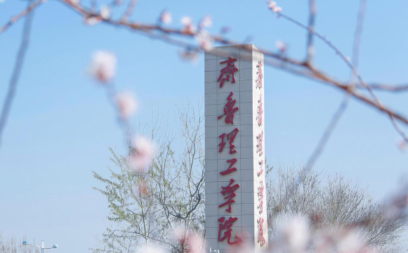 齐鲁理工学院是985吗