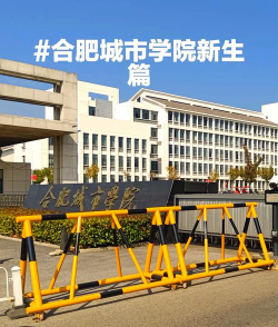合肥城市学院是985吗