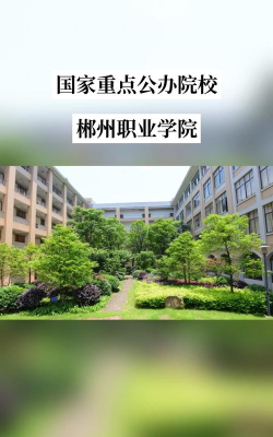 郴州职业技术学院是985吗