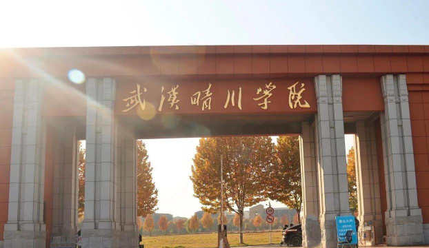武汉晴川学院是985吗