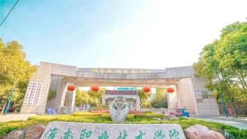 淮南职业技术学院是985吗