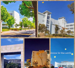 安徽冶金科技职业学院是985吗