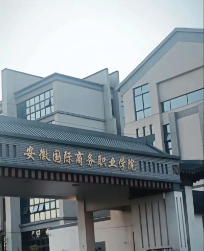 安徽国际商务职业学院是985吗