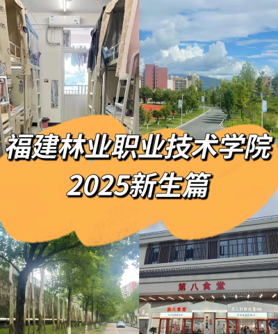 福建林业职业技术学院是985吗