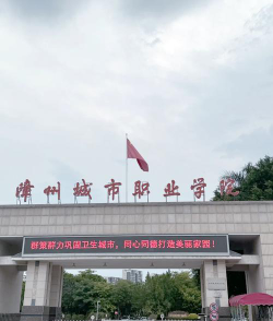 漳州城市职业学院是985吗