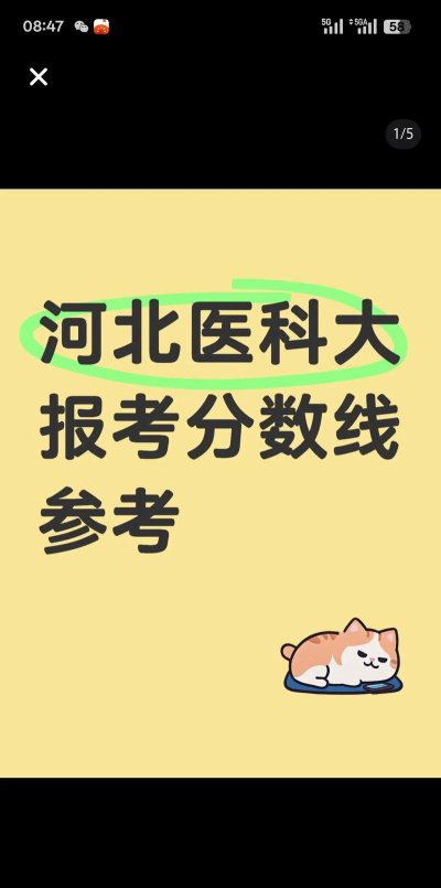 2024年河北医科大学各专业在内蒙古录取分数线