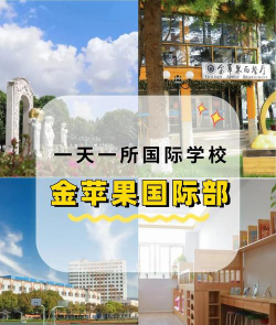 镇巴县金苹果培训学校有限责任公司环境
