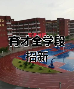 楚雄育才学校环境