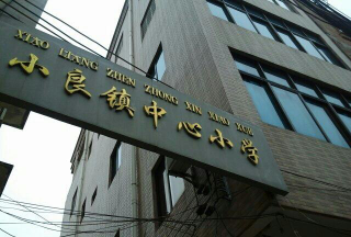 小良镇中心小学环境