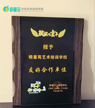张家口经开区梧童苑文化艺术培训学校有限公司环境