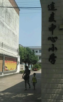连麦中心小学环境