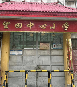 望田镇中心小学环境
