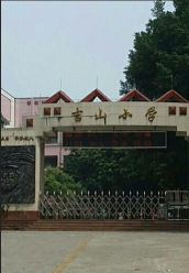 陈江吉山小学环境