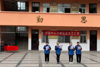 河南省南阳市镇平县卢医镇卢医小学环境