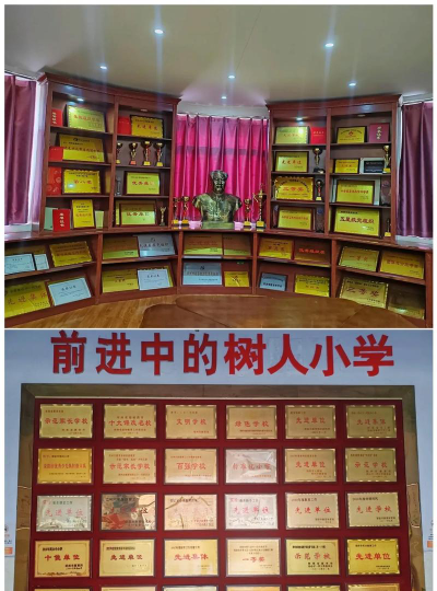 树人民办小学环境