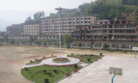 新阳中心小学环境