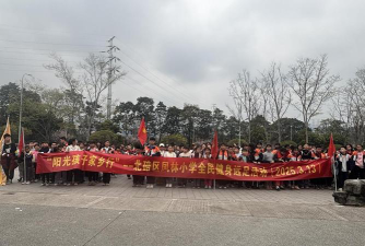 凤林小学环境