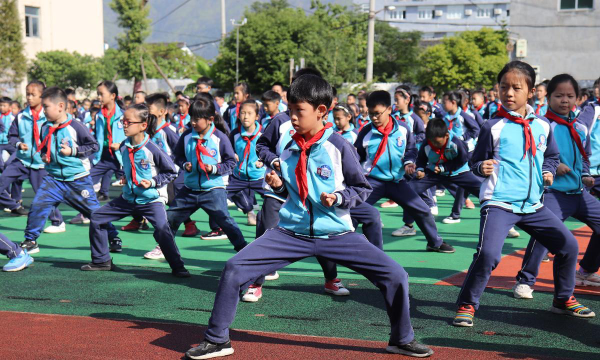 温州市平阳县麻步镇中心小学环境