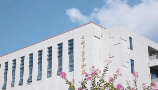 上海市闵行区上虹中学环境