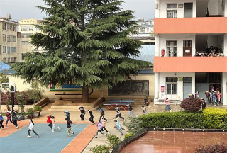 者海镇新星小学环境